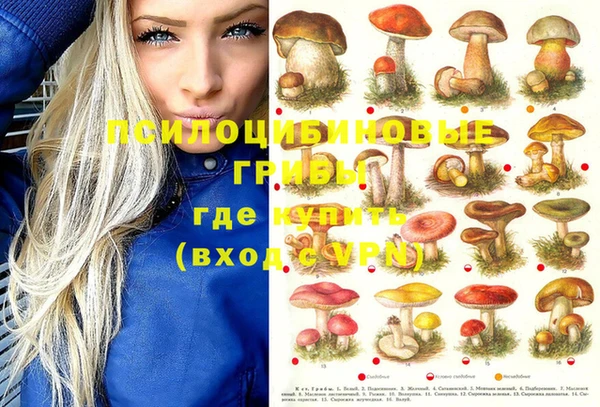 прущие грибы Алексин