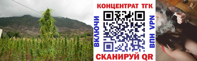 где купить наркотик  Нягань  ТГК THC oil 